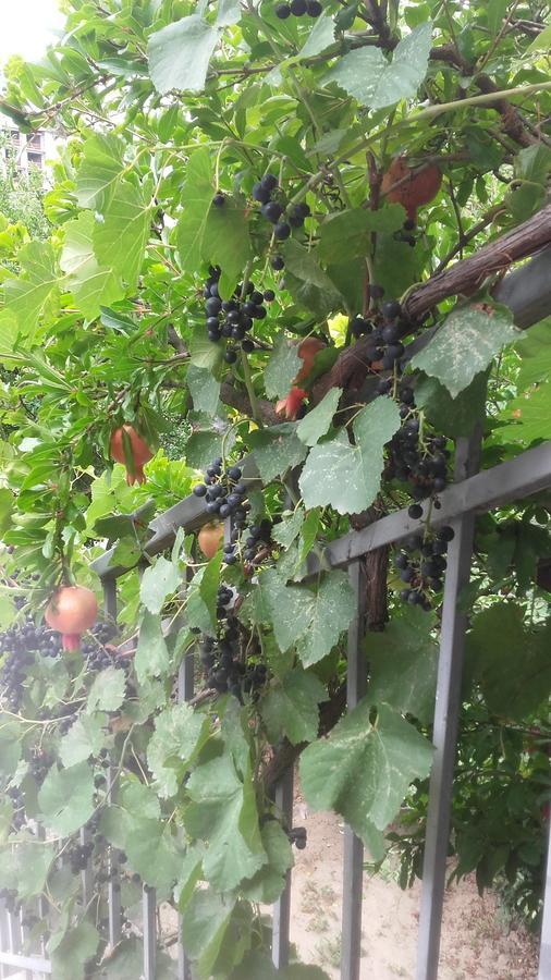 Домик У Реки Куры Tiflis Dış mekan fotoğraf
